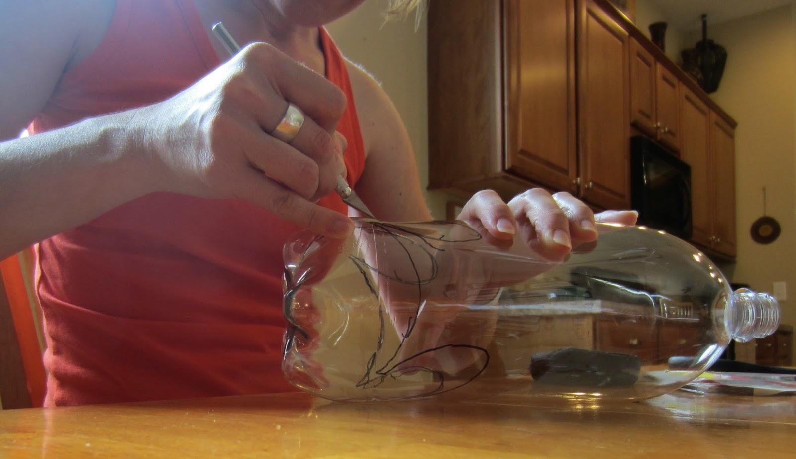 Relentlessly Fun, Deceptively Educational: 2-Liter {Bottle ... Relentlessly Fun, Deceptively Educational: 2-Liter {Bottle ...