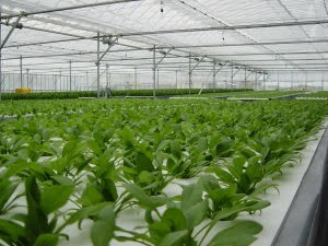 060712-2.jpg