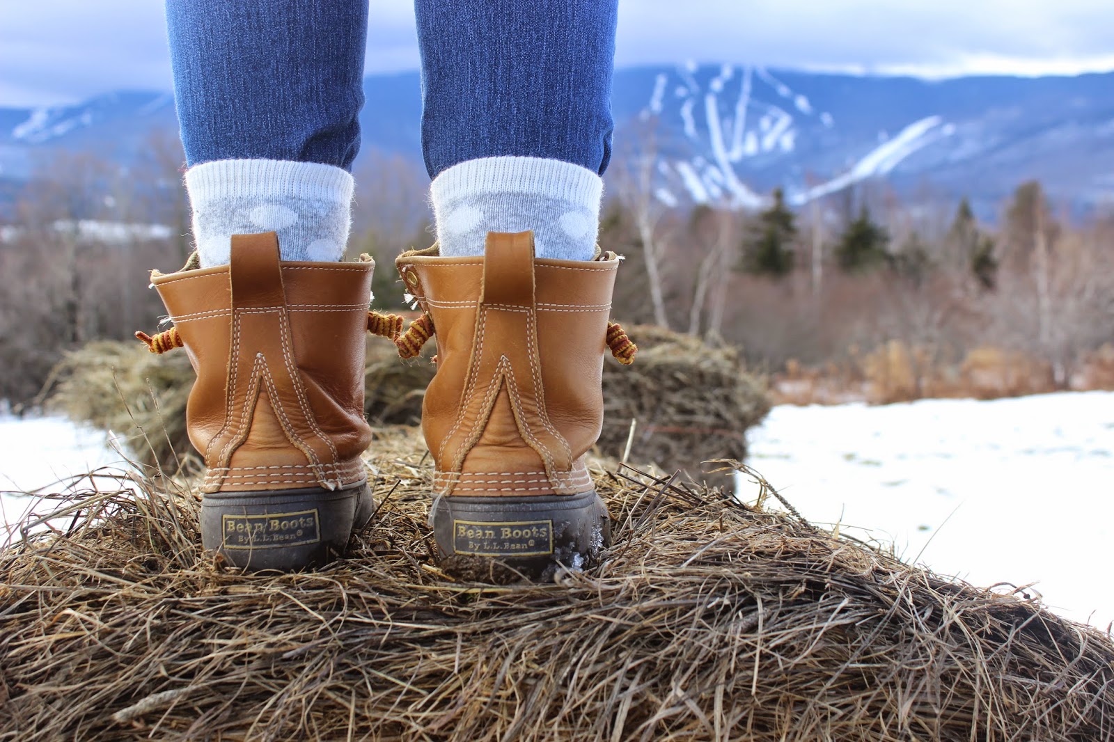 Preppy by the Sea L.L. Bean & Barbour