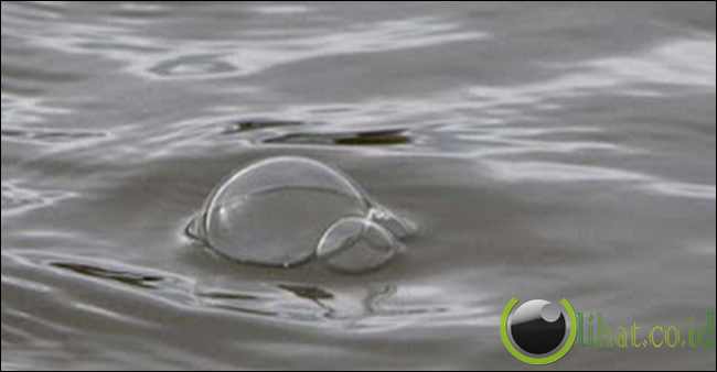 Mengandung Gas Metan Mengandung Gas Metan