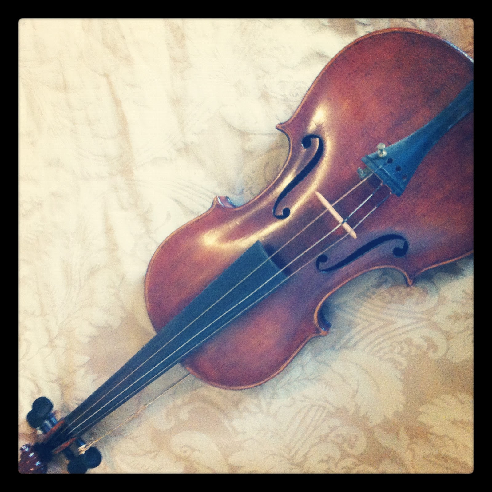 THE SOUND STATES Cat Guts