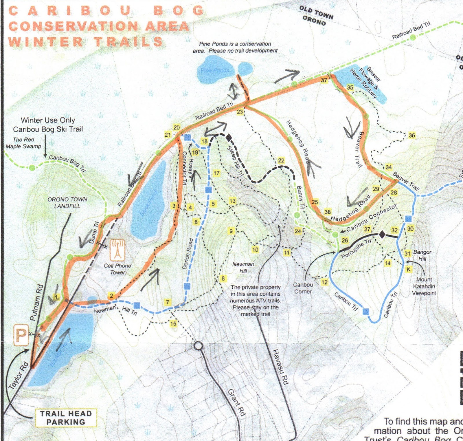 Hiking in Maine with Kelley 1/15/16 Caribou Bog