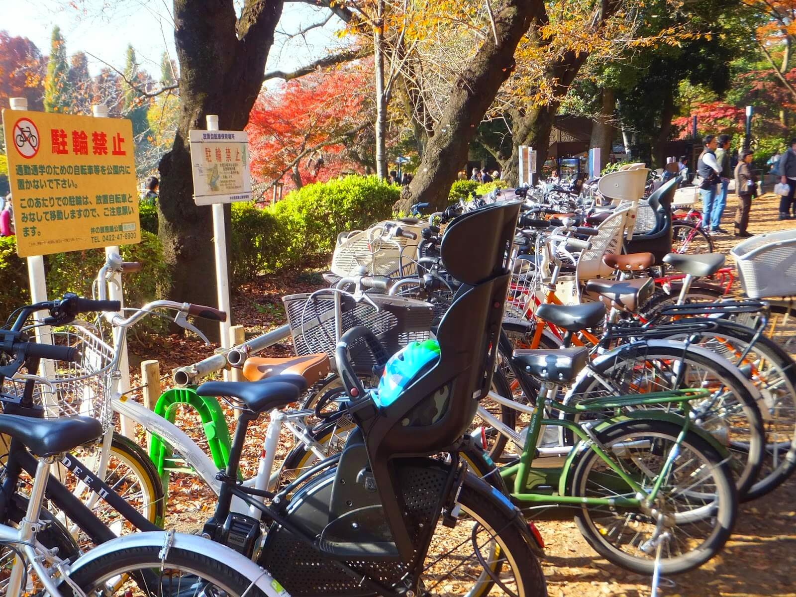 park bikes