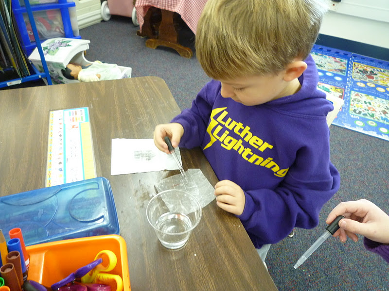 What Happens When Contact Paper Gets Wet at Donald Halsey blog