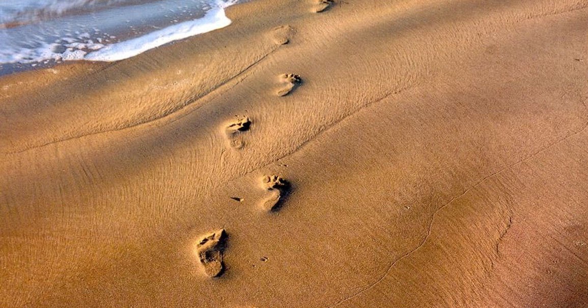 Секс на песке 