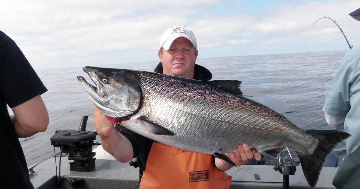 Todds Extreme Fishing La Push 7911 & 71011