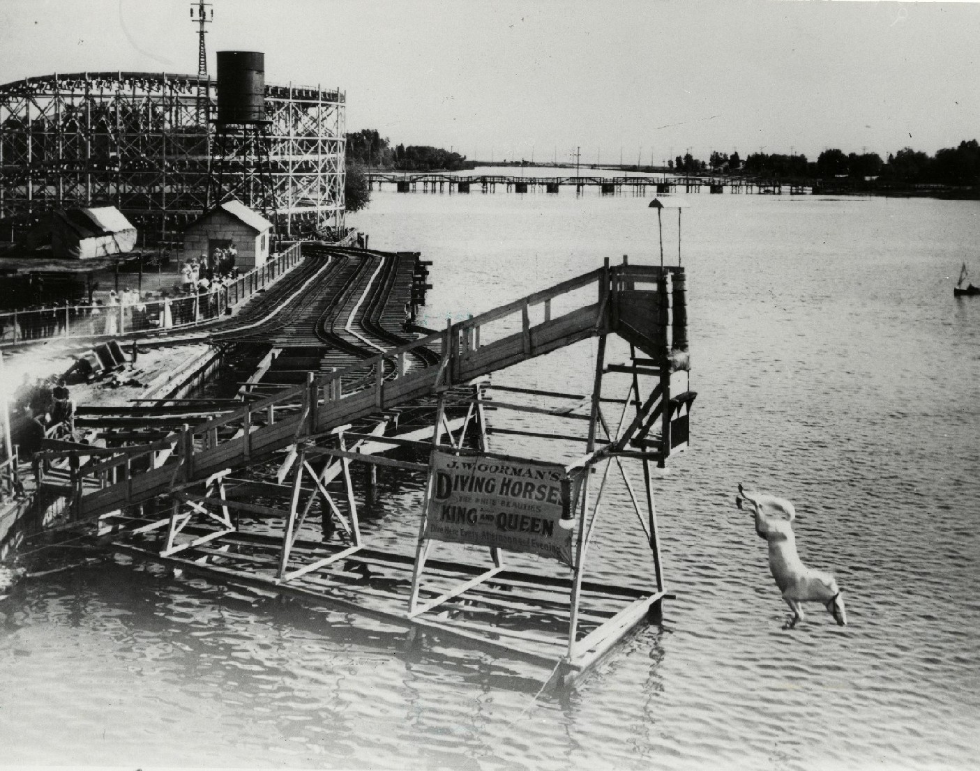 Diving+Horse+at+Hanlan's+Point++1907.jpg (1405×1106) Horse diving