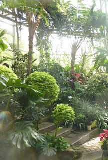 Lots of plants and a small path inside one of the Nunobiki Herb Garden glasshouses