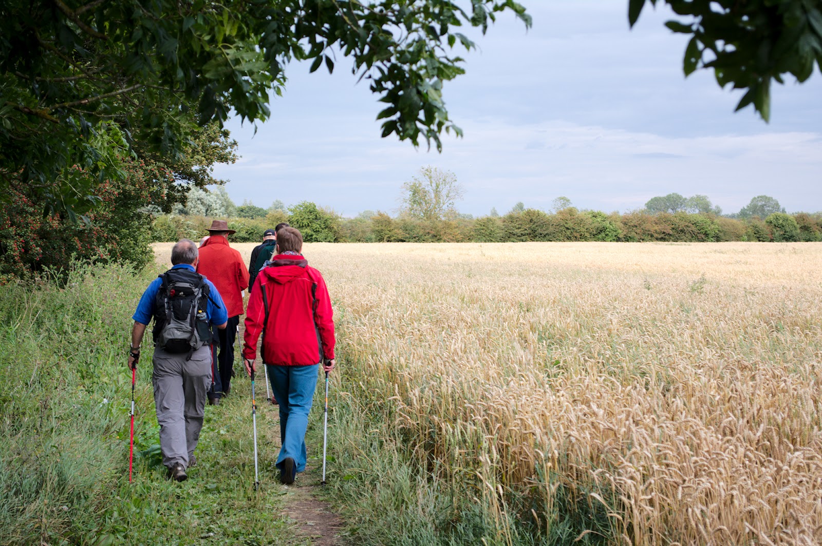  Sommerliches Netwalking