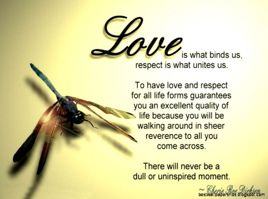 astonishing Love Life Quotes Inspirational Quotes astonishing Love Life Quotes Inspirational Quotes