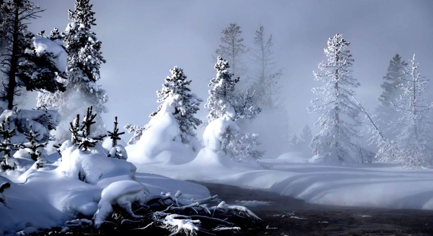 Download Mystic Winter Winter Nature Widescreen Wallpaper  Full Download Mystic Winter Winter Nature Widescreen Wallpaper  Full