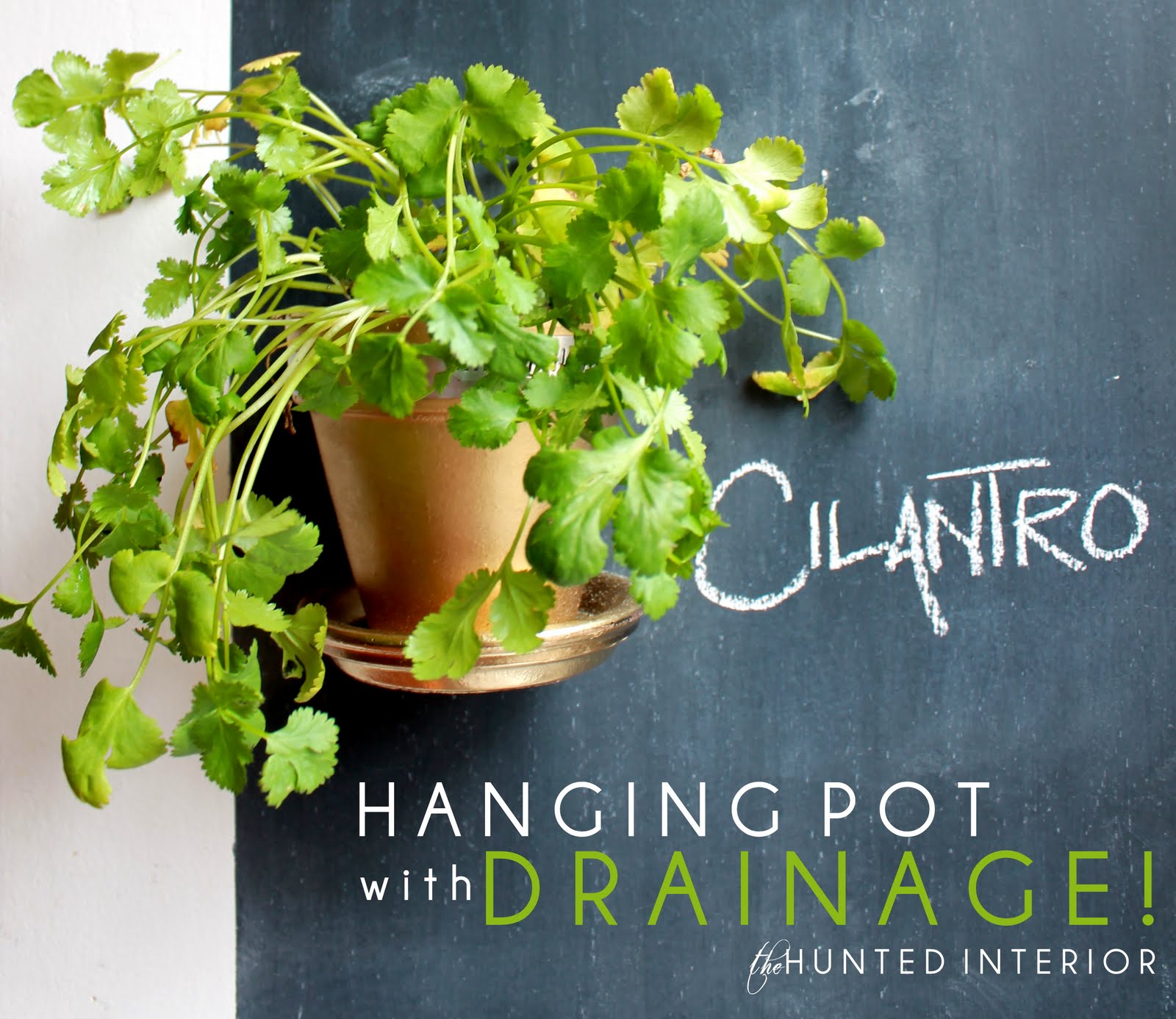 hunted interior HANGING POTS WITH DRAINAGE!!!