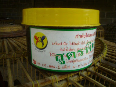 KAMPLANG DARI BANGKOK THAILAND