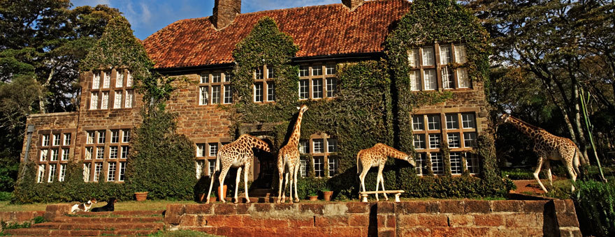 Jock's house comes under new surveillance Giraffe+manor+hotel
