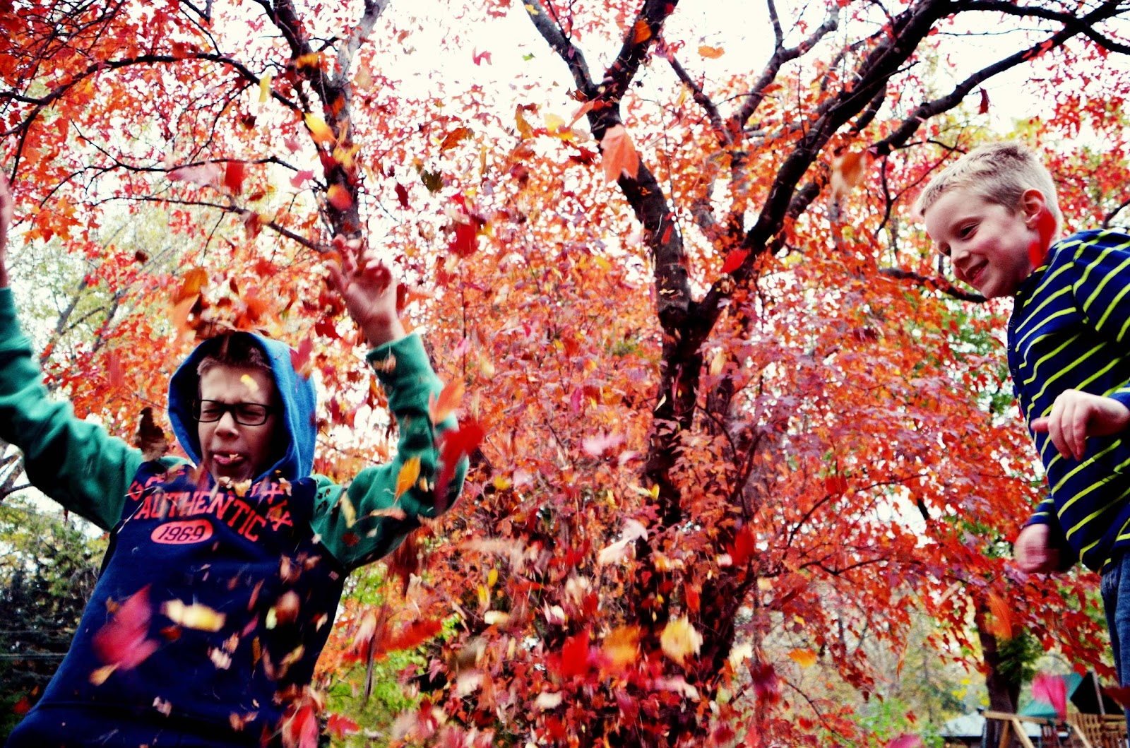 Take Beautiful Fall Photos of Your Kids - Empowered Moms and Kids