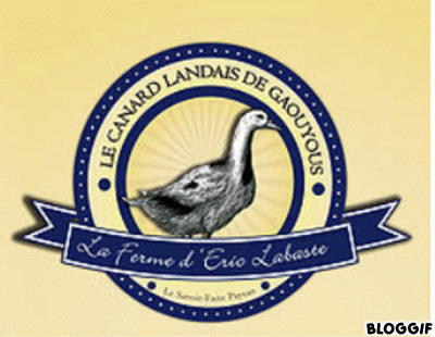 CANARD LANDAIS DE GAOUYOUS (Eric Labaste)