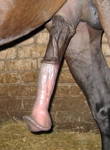 un rencontre amoureuse