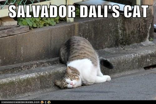 funny-cat-pictures-lolcats-salvador-dalis-cat.jpg