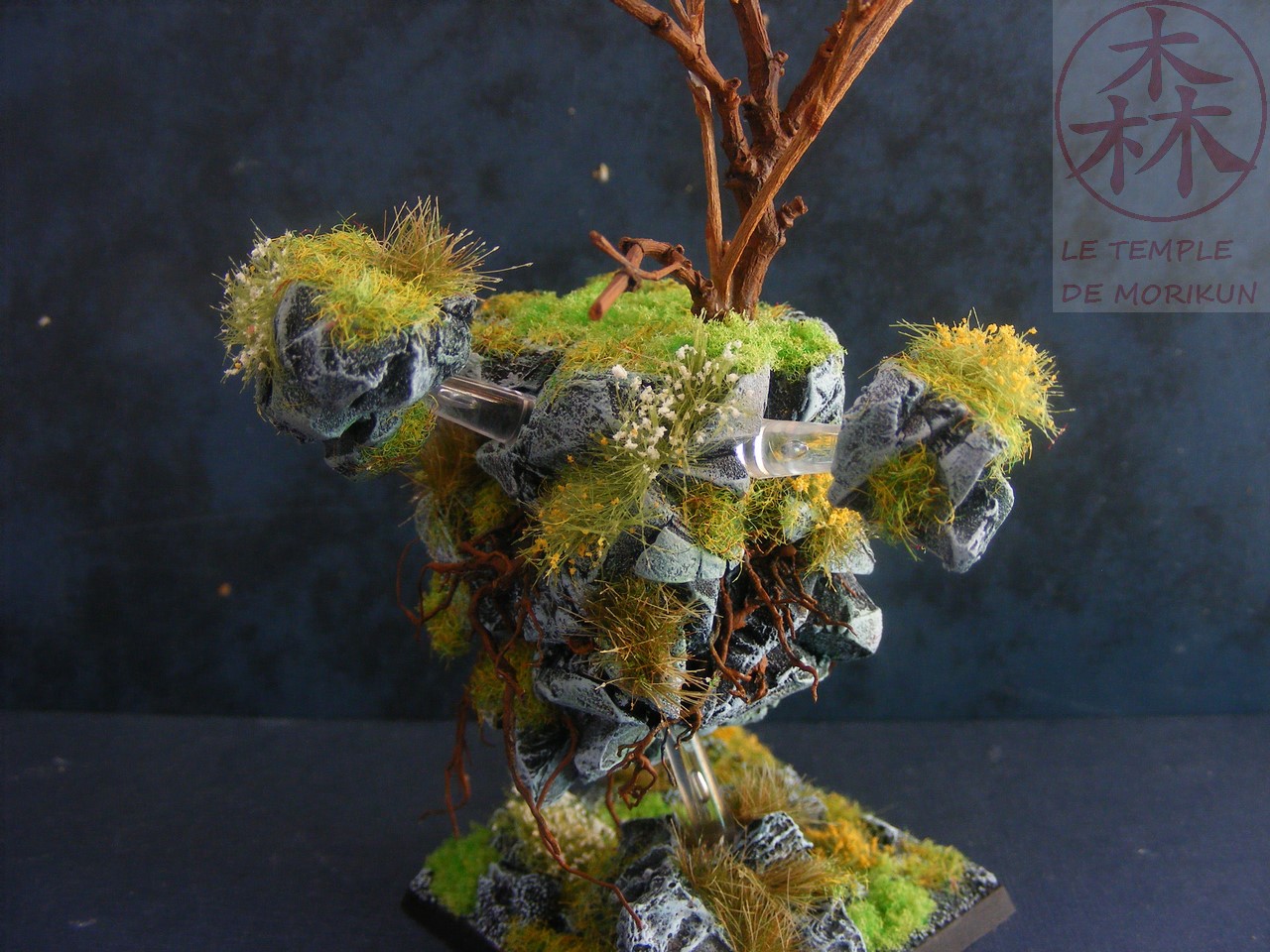 [Image: Concours%2BMonty%2B5%2B%252815%2529.JPG]