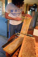 Processing honey