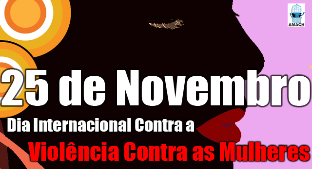 25 11 DIA INTERNACIONAL 25 11 dia internacional: