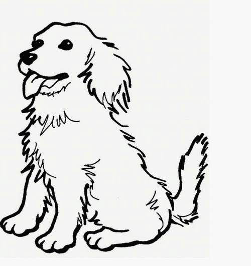 how often do dogs get their period pet supplies for dogs and cats rosyandrocky here s the best way to find your how often do dogs get their period pet supplies for dogs and cats rosyandrocky here s the best way to find your