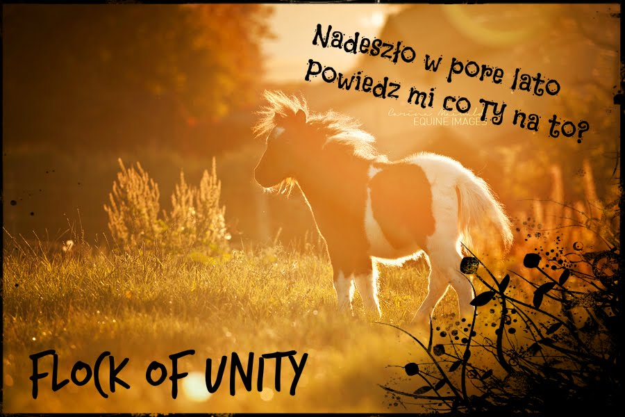 Flock of Unity