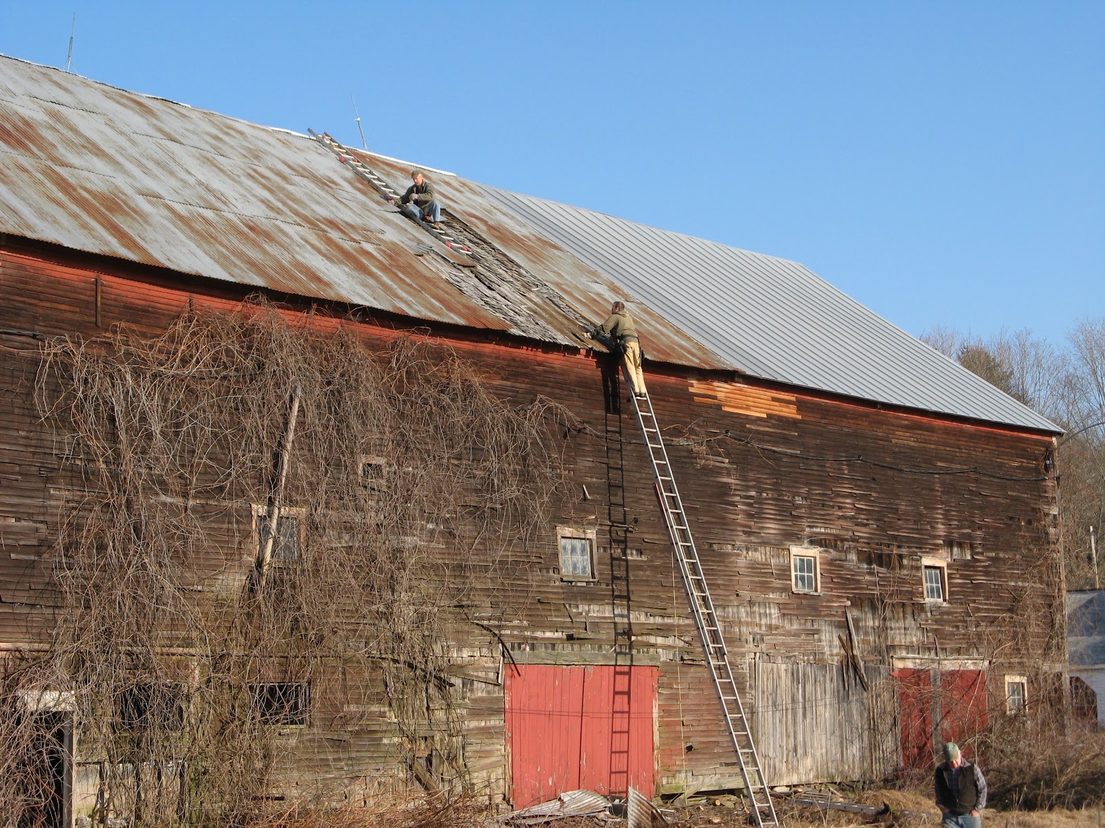 Animal Instinct Barn Repair in March