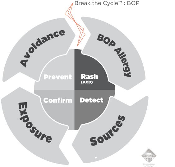 Dermatitis Academy: Break the Cycle