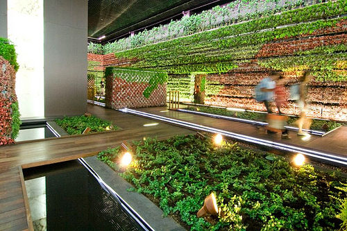 ARTE Y JARDINERÍA : Diseño de Jardines. La fusión del pasado con el