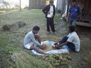 Mahouts preparing "Elephant Food" at Elephant stables in Sauraha village.