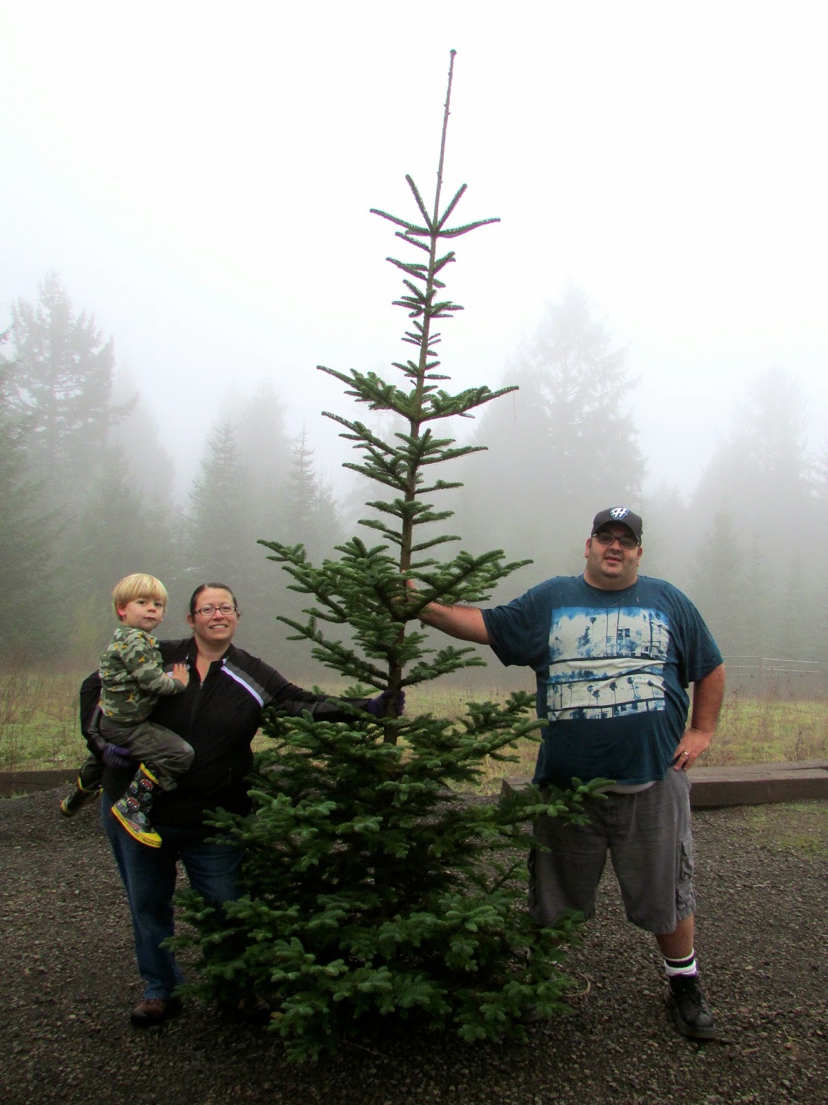 Corner Crest Natural Farm Customer Gallery 2014