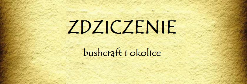 Zdziczenie