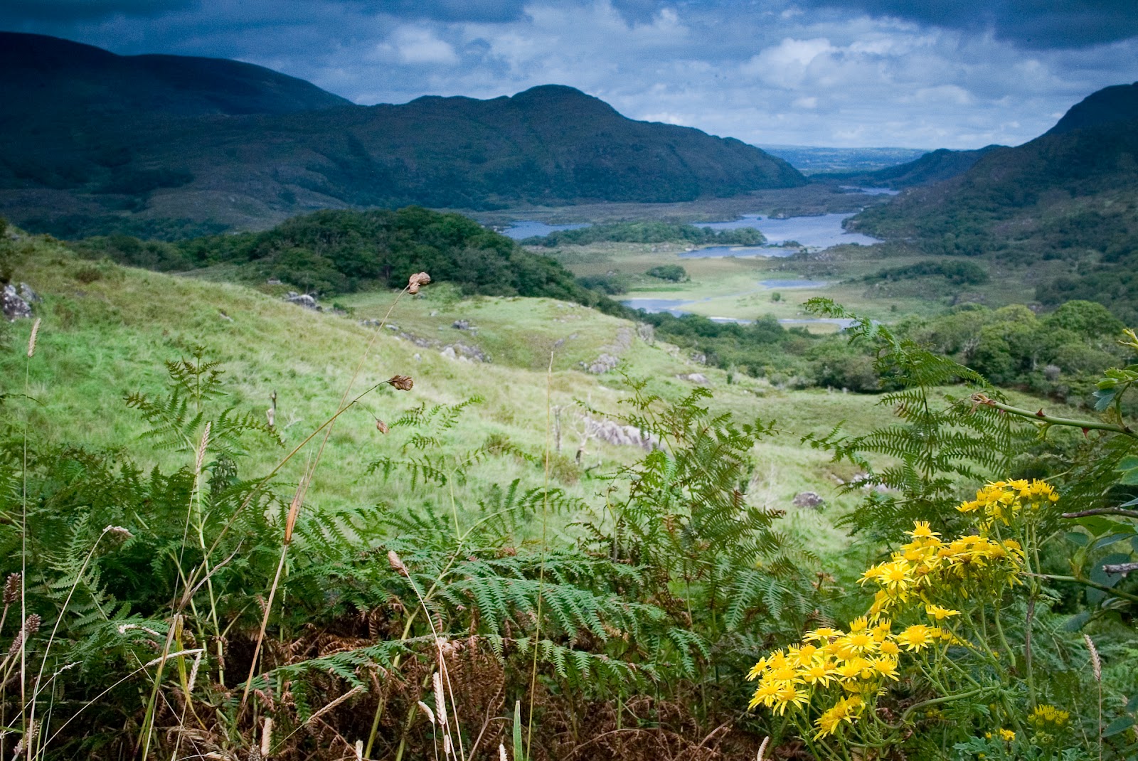 Black Valley Ireland