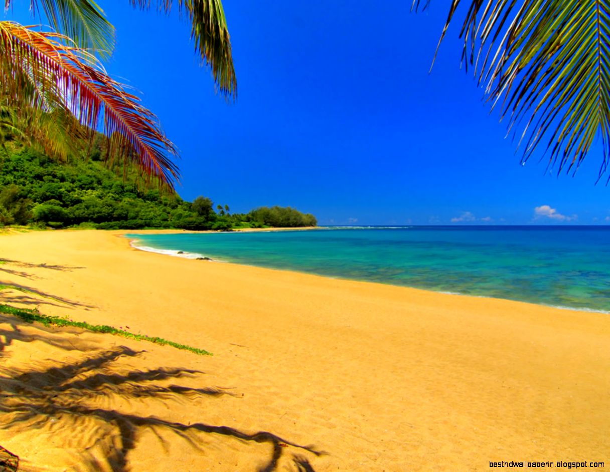 Summer Wallpaper Summer Wallpaper