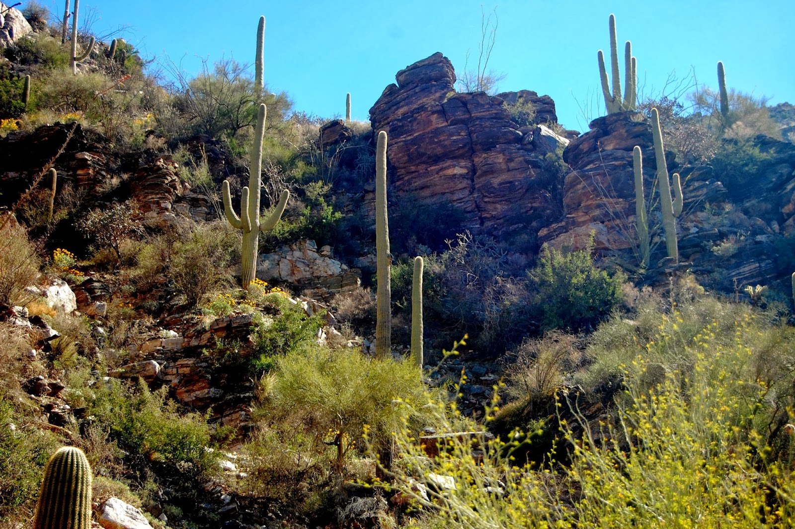 Anywhere USA Sabino Canyon