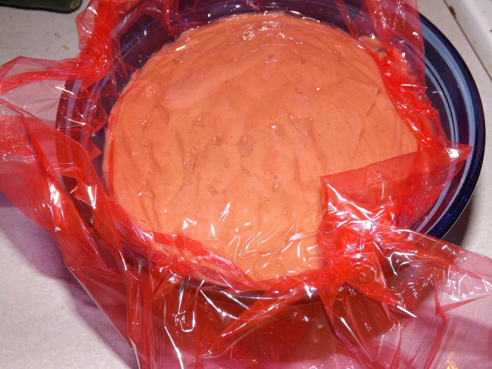 FoodThoughtsOfaChefWannabe Peanut Butter Pudding