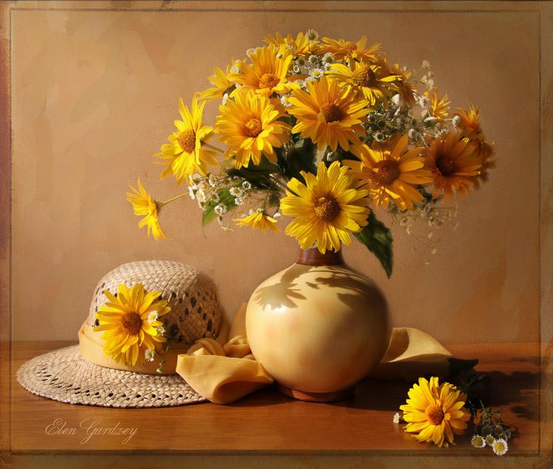 High Quality Flower Pictures, HQ Flower Wallpapers