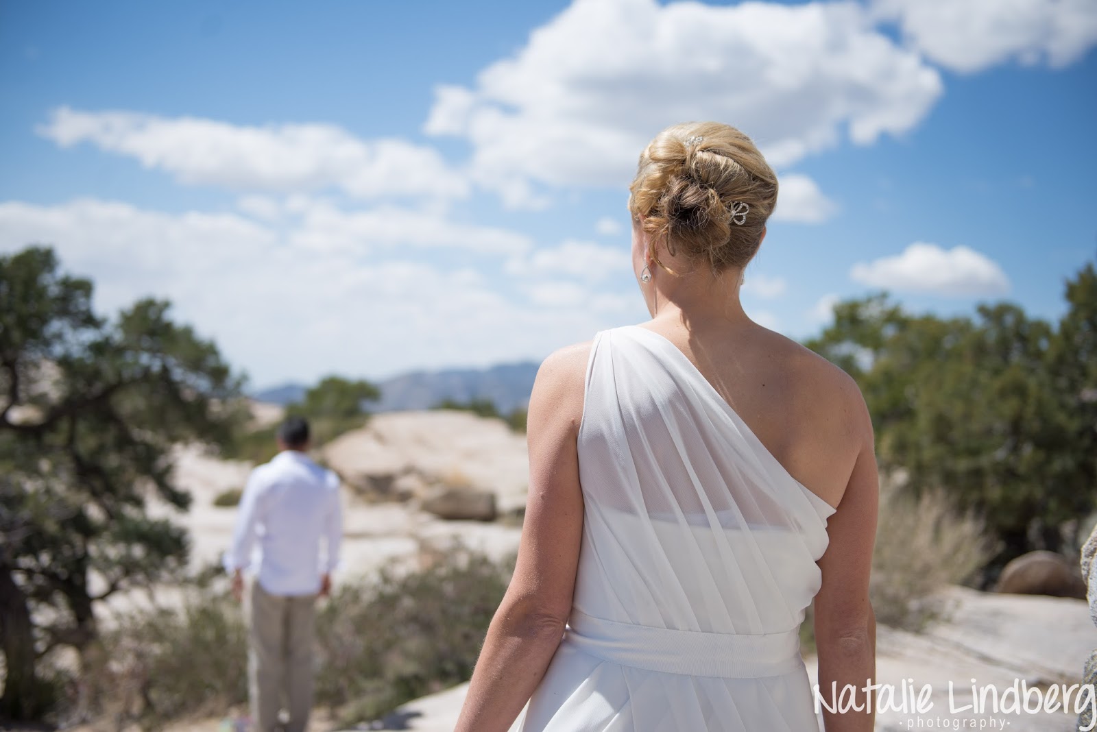 Natalie Lindberg Photography Stephanie and Brian's Mt. Lemmon Wedding