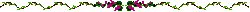 Visualizar