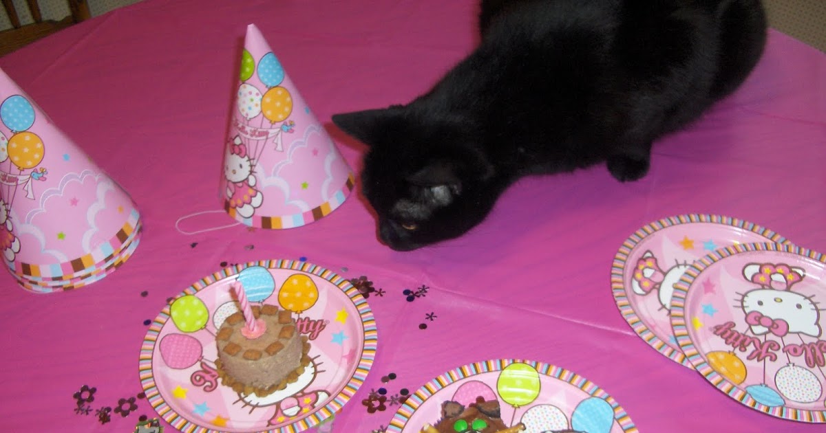 Catsparella Throwing a Cat Party on a Dime