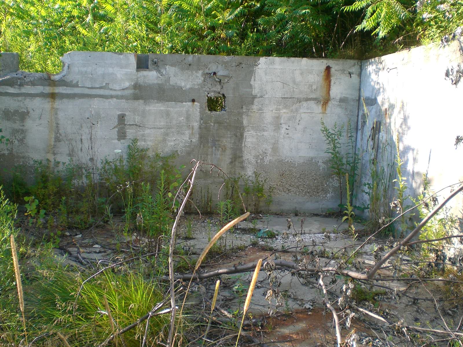 Addison County Ghost Hunters Hunt 1Dog Team Tavern in Middlebury 7/23/11