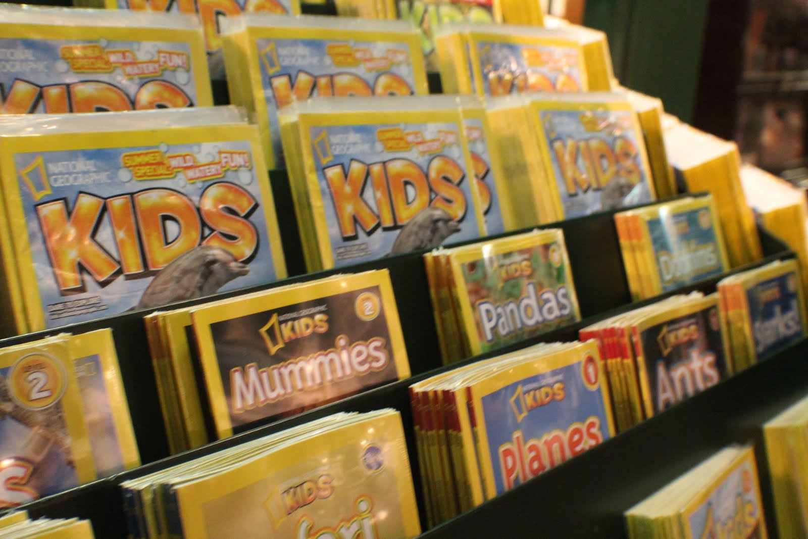 National Geographic Store layout and design