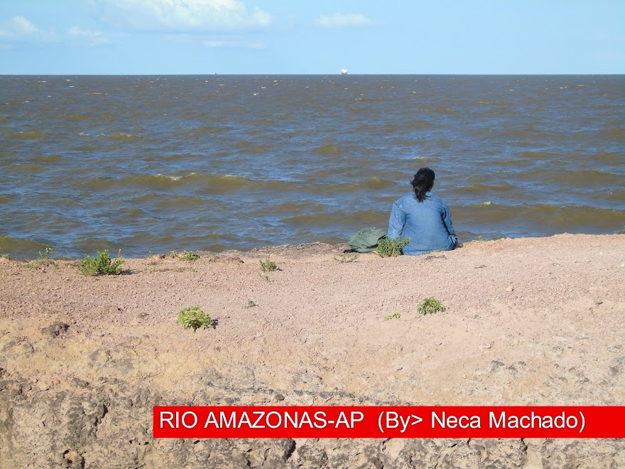 RIO AMAZONAS-AP