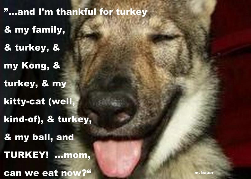 Thanksgiving mad lib free printable
