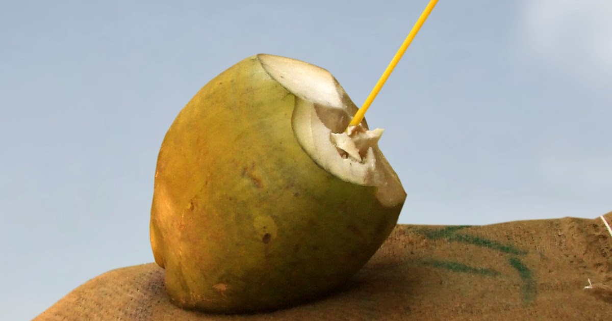New Scientific Analysis Concludes Coconut Water Is An Excellent Sports