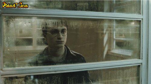 Xem phim Harry Potter Và Hoàng Tử Lai Xem phim Harry Potter Và Hoàng Tử Lai