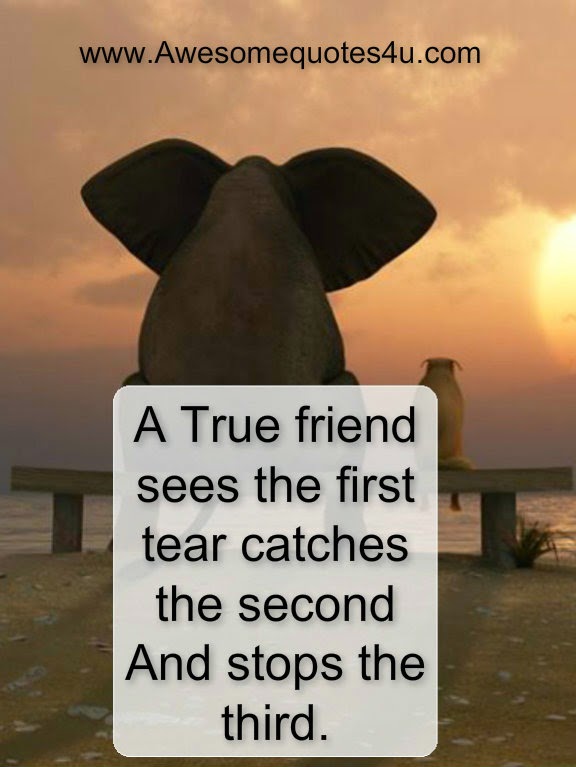 Awesome Quotes: A true friend