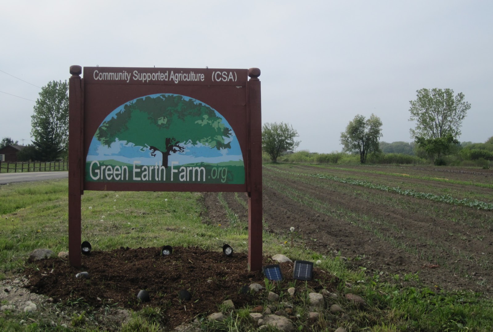 Nearly Natural Nicole Community Supported Agriculture