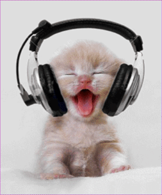 Funny+cat+listening+music.gif